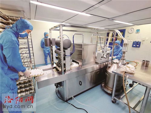 洛陽惠中生物技術 研發高端疫苗產品 為畜牧業保駕護航